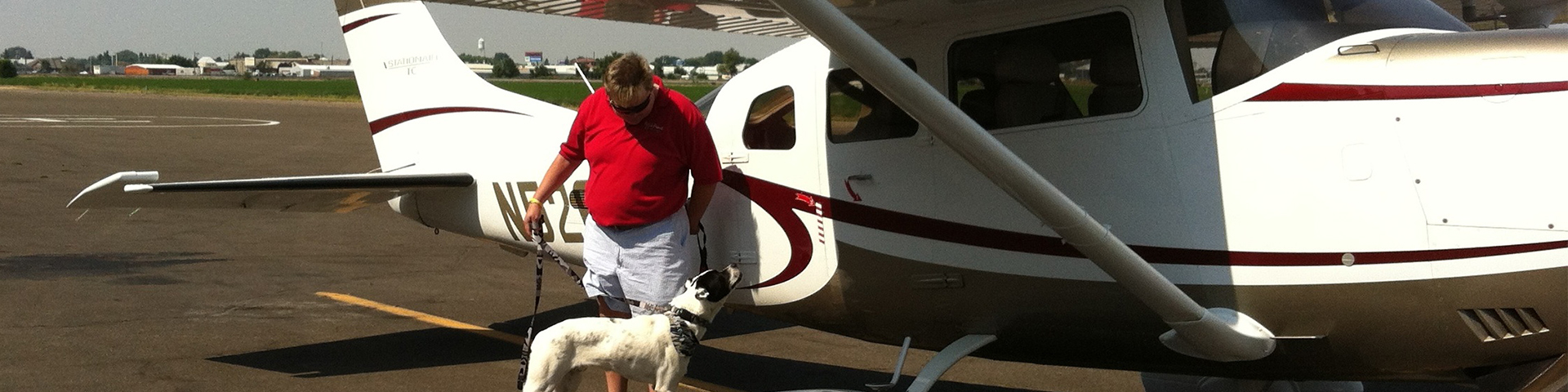 pet travels - Pet Travel & Flying With Pets