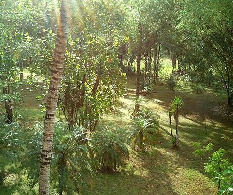 Belizean Jungle crop 460x385 - 6 Luxurious Holiday Resorts With Private Airstrips