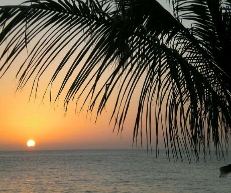 Mexico beach crop 460x385 - 6 Luxurious Holiday Resorts With Private Airstrips