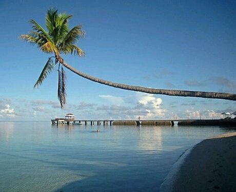 wakatobi beach crop 460x385 460x375 - 6 Luxurious Holiday Resorts With Private Airstrips