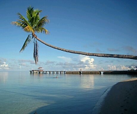 wakatobi beach crop 460x385 - 6 Luxurious Holiday Resorts With Private Airstrips